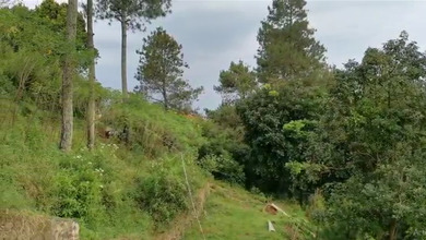 For Sale Tanah Eksklusif di Dago Pakar, Bandung, LT 5500m²