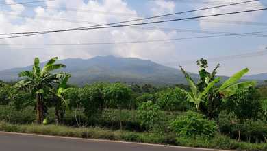 Tanah Luas 9875 m2 Lokasi Strategis Rancaekek, Dijual Murah