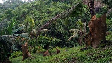 Jual Tanah Terjangkau di Area Ubud, Gianyar