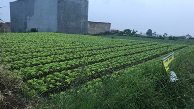 For Sale Tanah Premium di Setiabudi, Bandung, LT 612m²