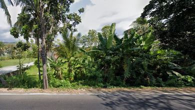Tanah Elit Dijual di Lovina, Buleleng, Harga 9,75 Miliar