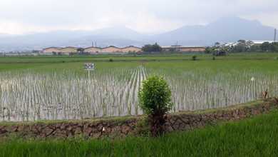 For Sale Tanah Eksklusif di Ujungberung, Bandung, LT 35000m²