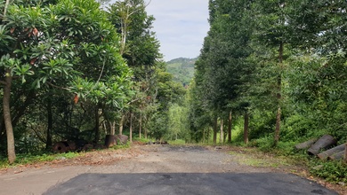 Tanah Nyaman untuk Hunian di Mekar Wangi, Bandung, Luas 1200m²