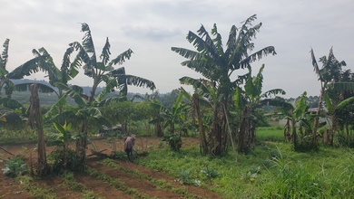 Kavling Prestisius Dijual di Setiabudi, Bandung, Harga 35 Miliar