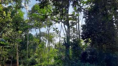 Kesempatan Tanah Strategis di Purwokerto , Purwokerto, Harga 1,87 Miliar